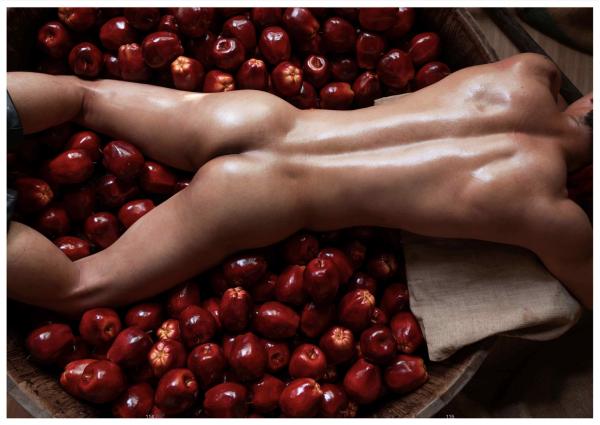 XPERIMENT-16--The-Apple-Picker